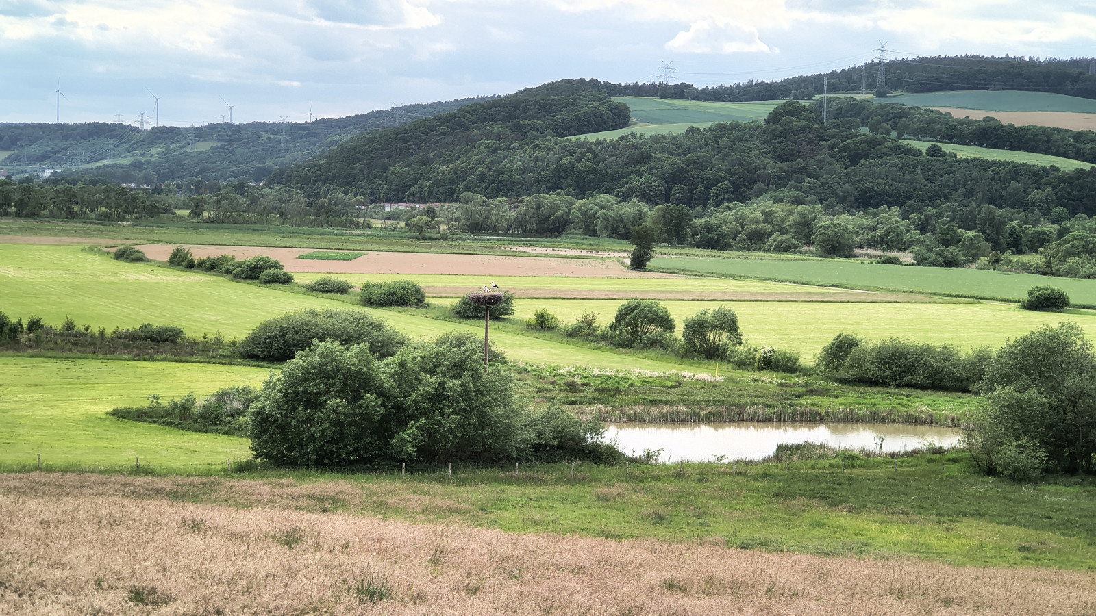 IMG_20250527_170010086_HDR