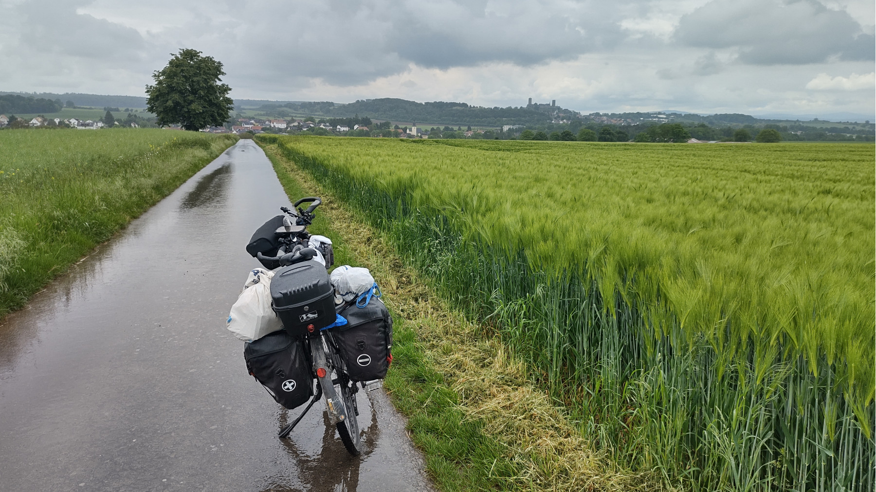 IMG_20240518_130157189_HDR IMG_20240518_130157189_HDR