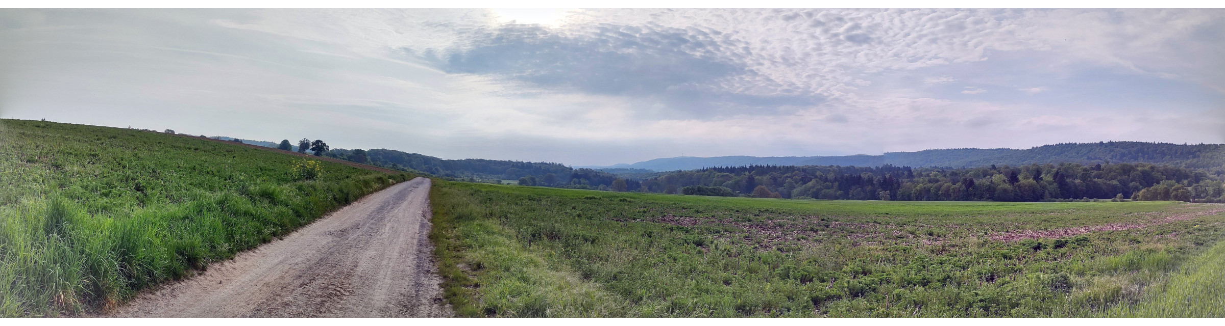 Panorama erster Tag IMG_20240502_081640864_HDR-PANO