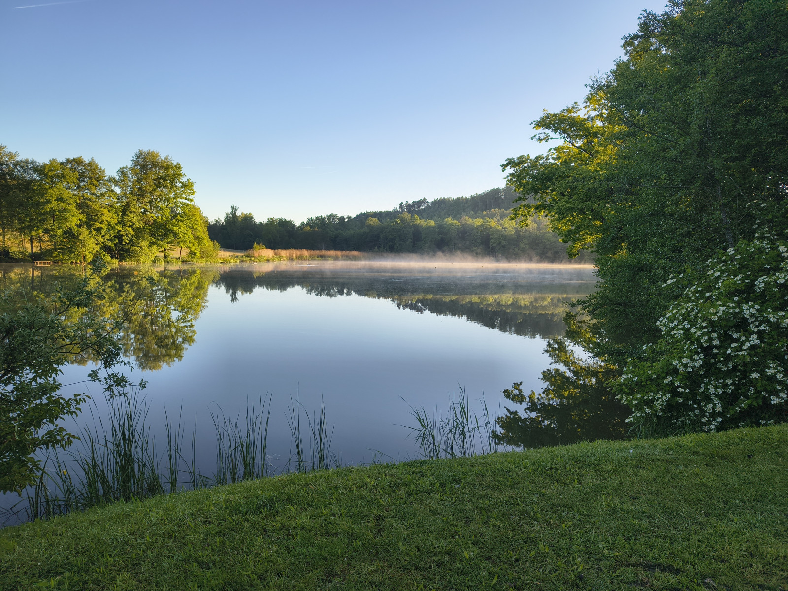 IMG_20260522_062936046_HDR