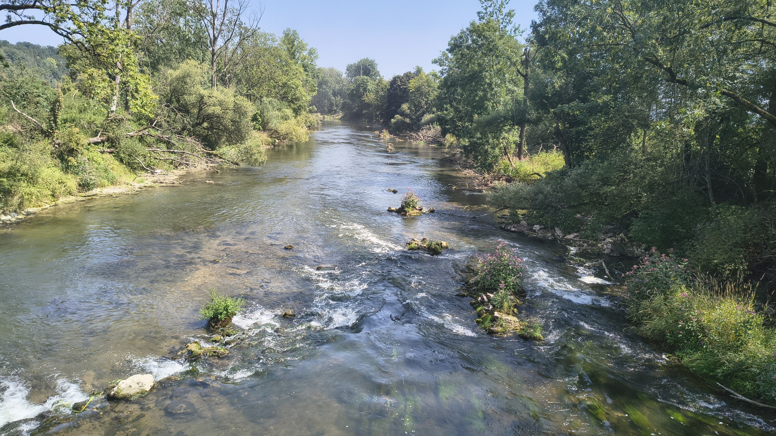 IMG_20250810_141541495_HDR