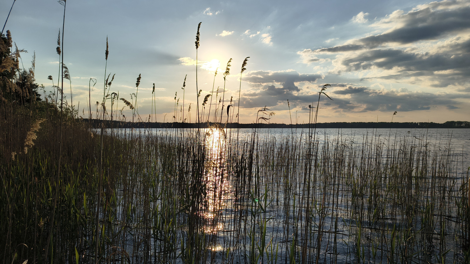 IMG_20250520_194417401_HDR