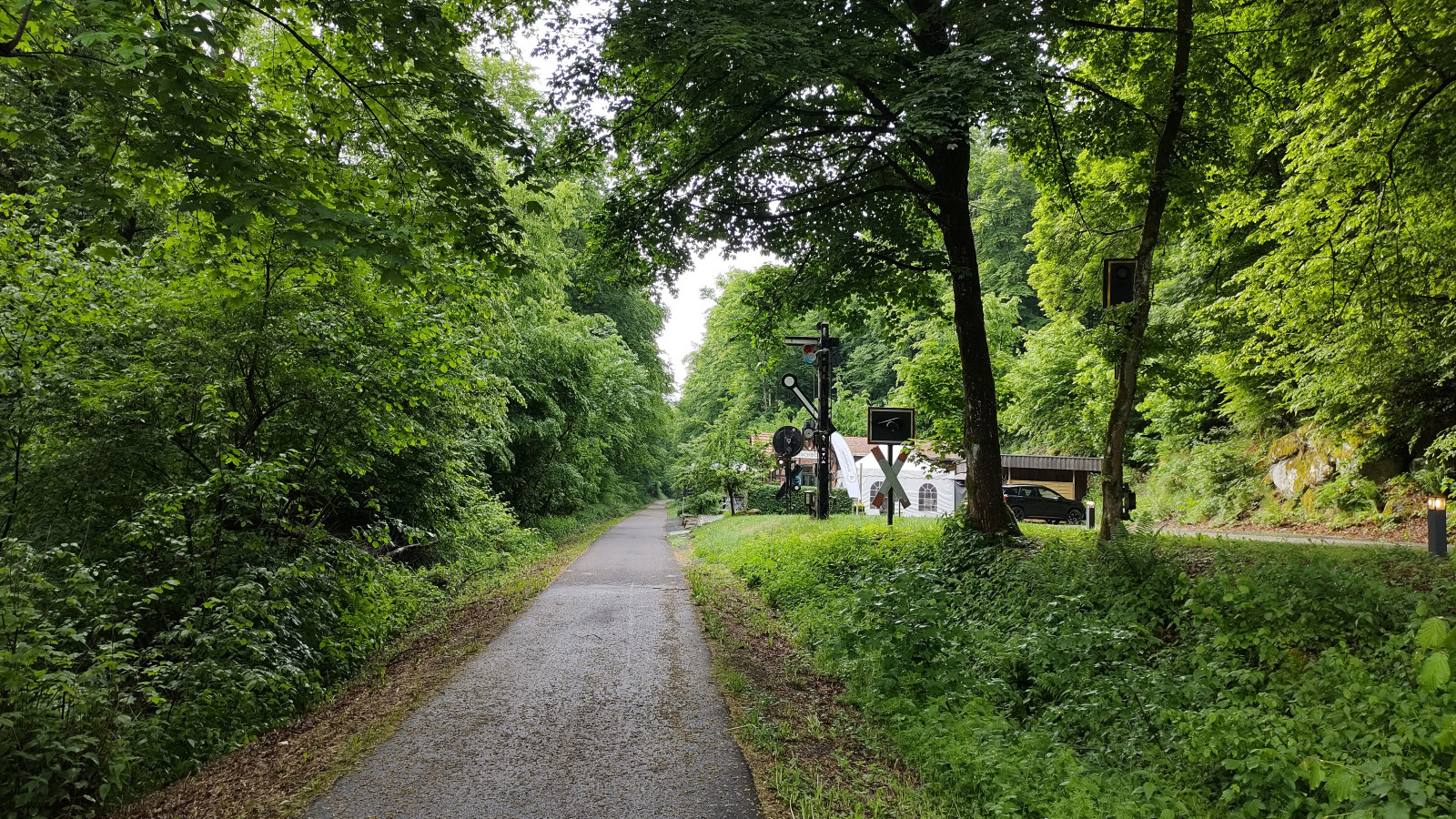 IMG_20250529_083658410_HDR IMG_20250529_083658410_HDR