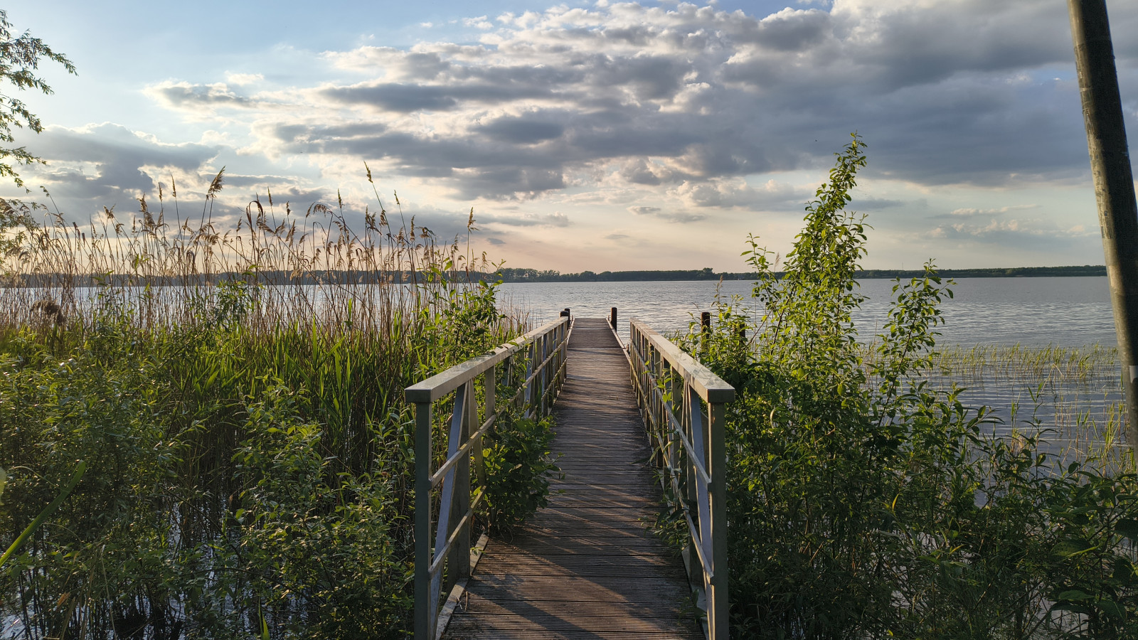 IMG_20250520_194214682_HDR