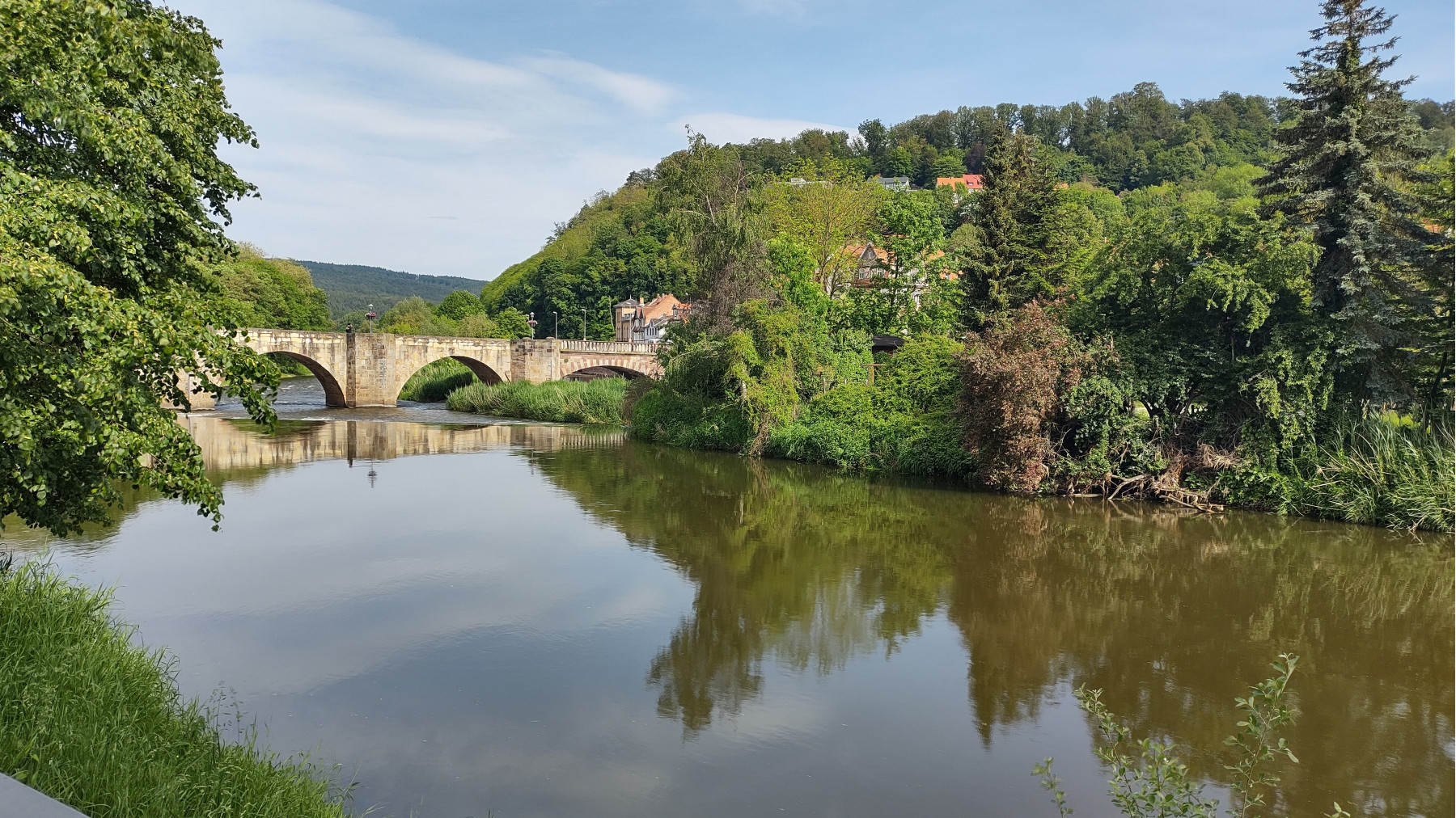 IMG_20240517_094443558_HDR