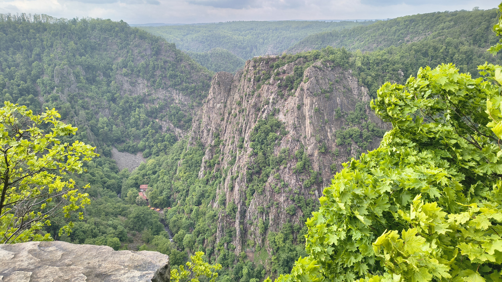 IMG_20250518_115554148_HDR