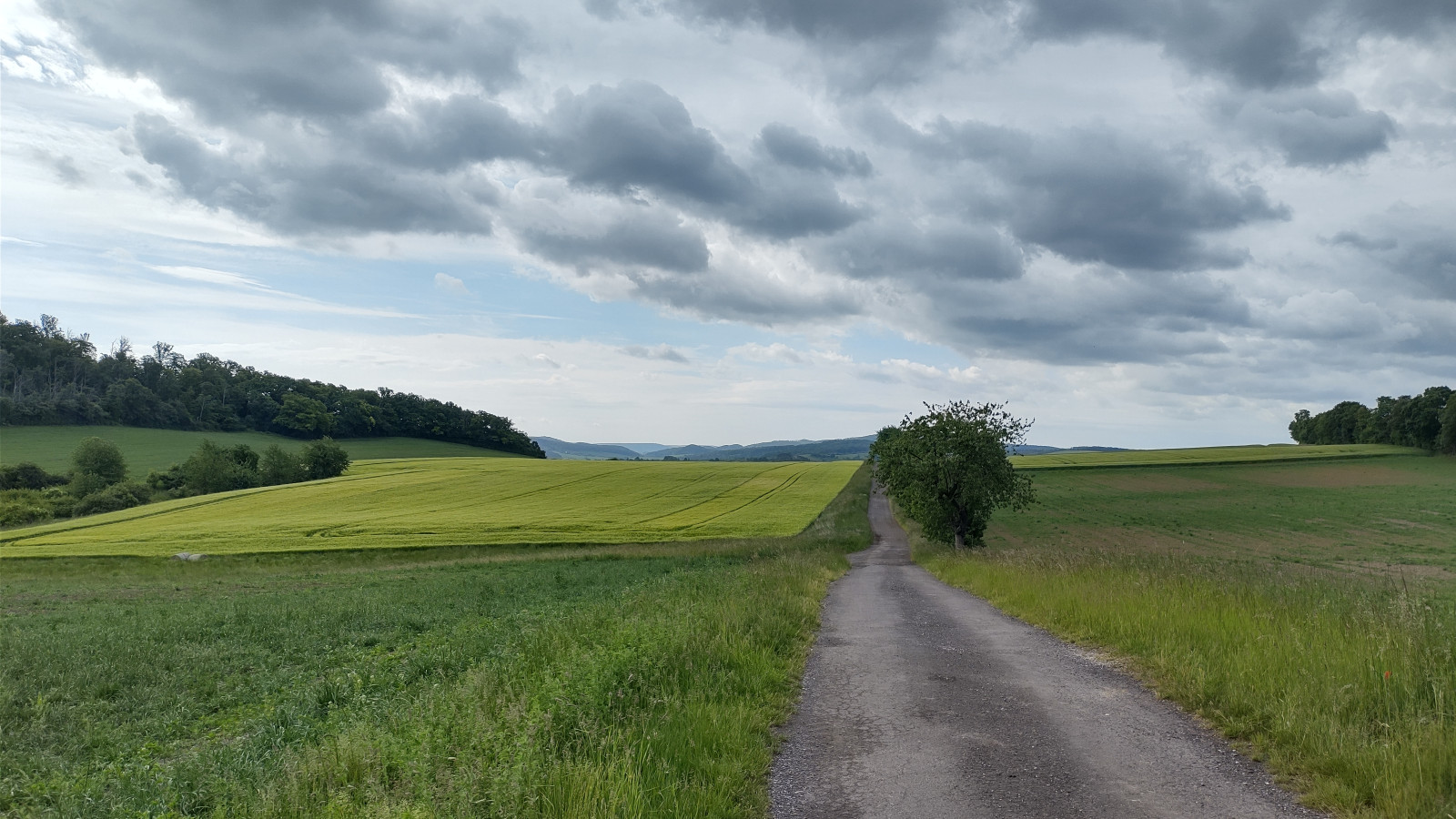 IMG_20250527_092817978_HDR IMG_20250527_092817978_HDR