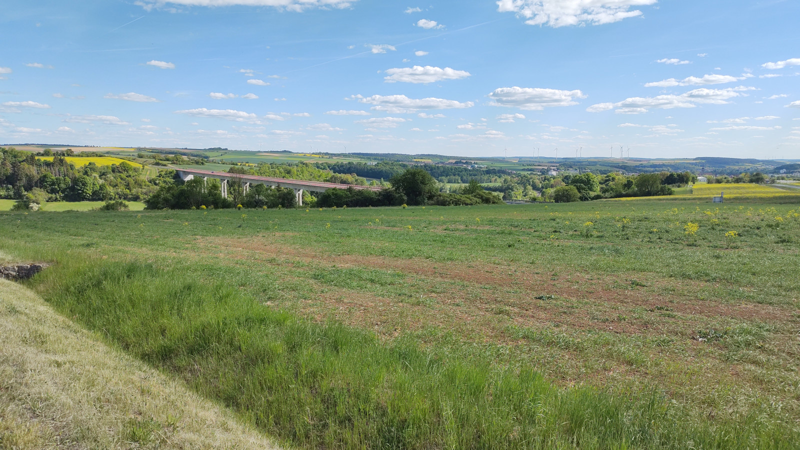 IMG_20250511_163036724