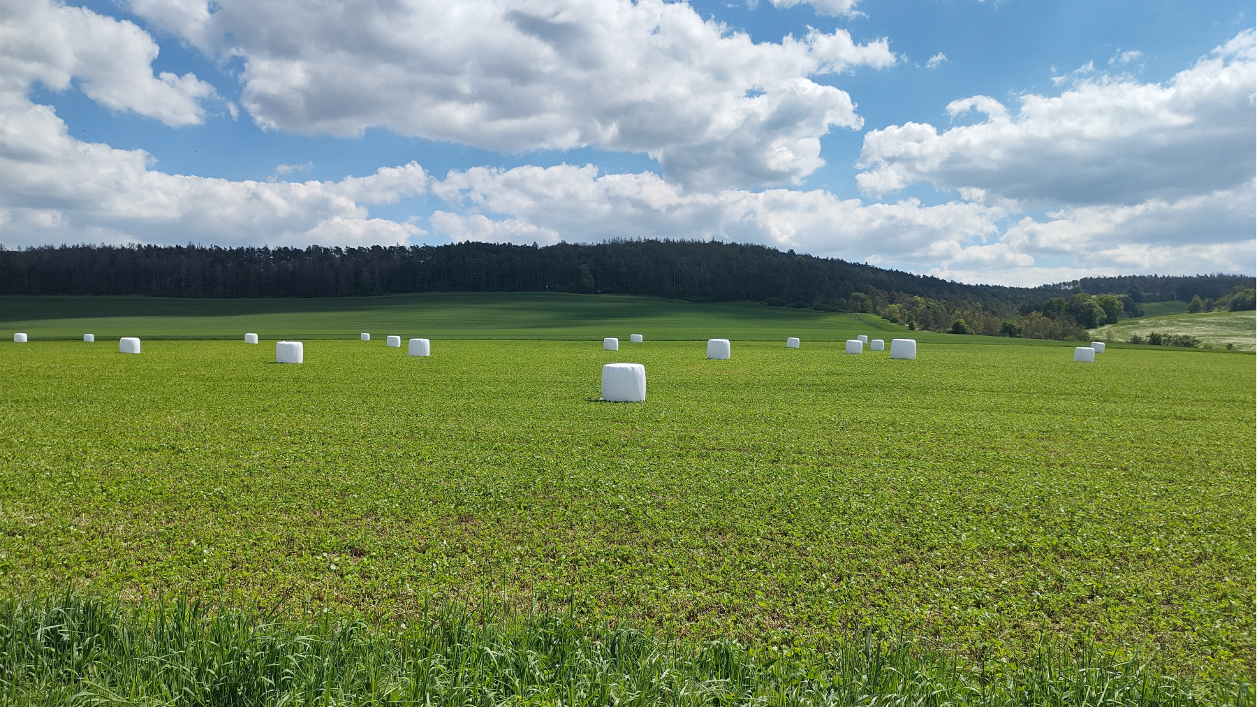 IMG_20240510_135135144_HDR IMG_20240510_135135144_HDR