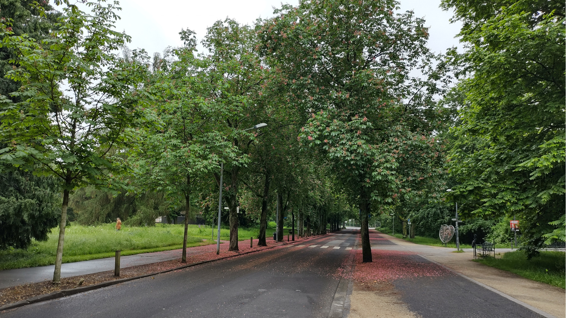 IMG_20240519_090403876_HDR IMG_20240519_090403876_HDR