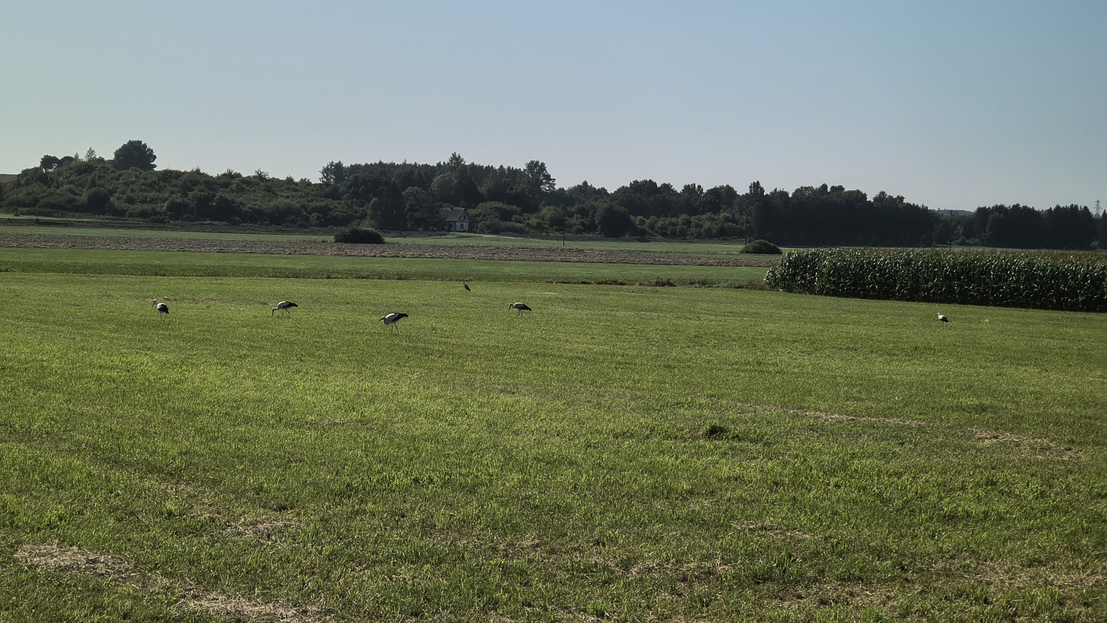 IMG_20250811_102859183_HDR