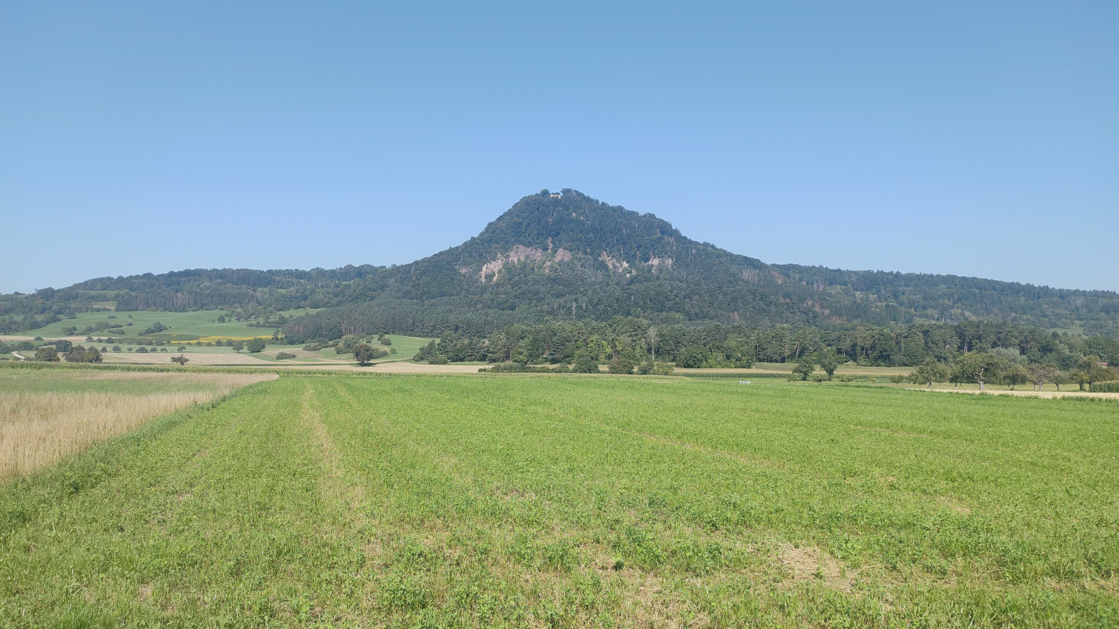 IMG_20250812_102512753