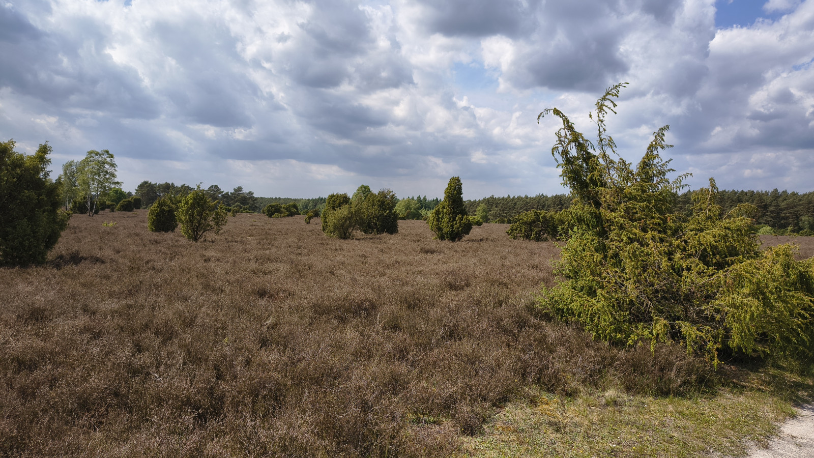 IMG_20250524_145613045_HDR