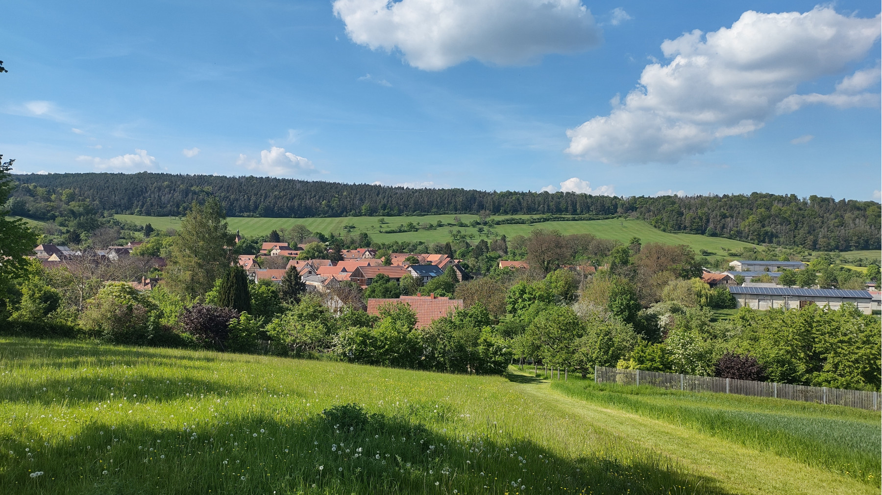 IMG_20240510_161748782_HDR