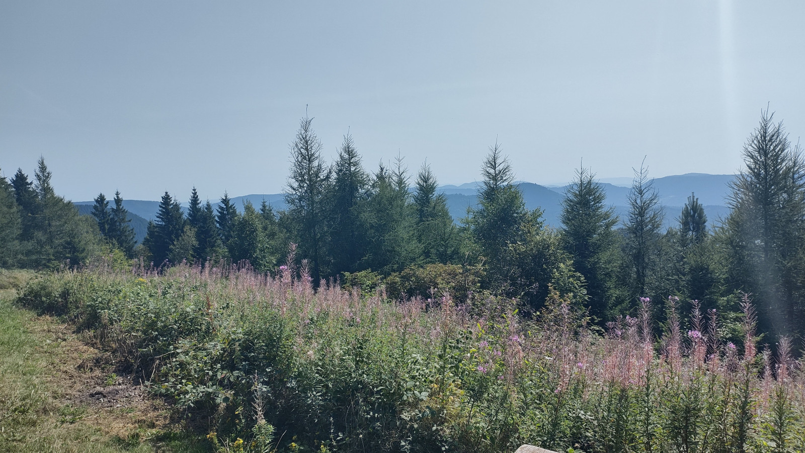 IMG_20250813_153659868_HDR