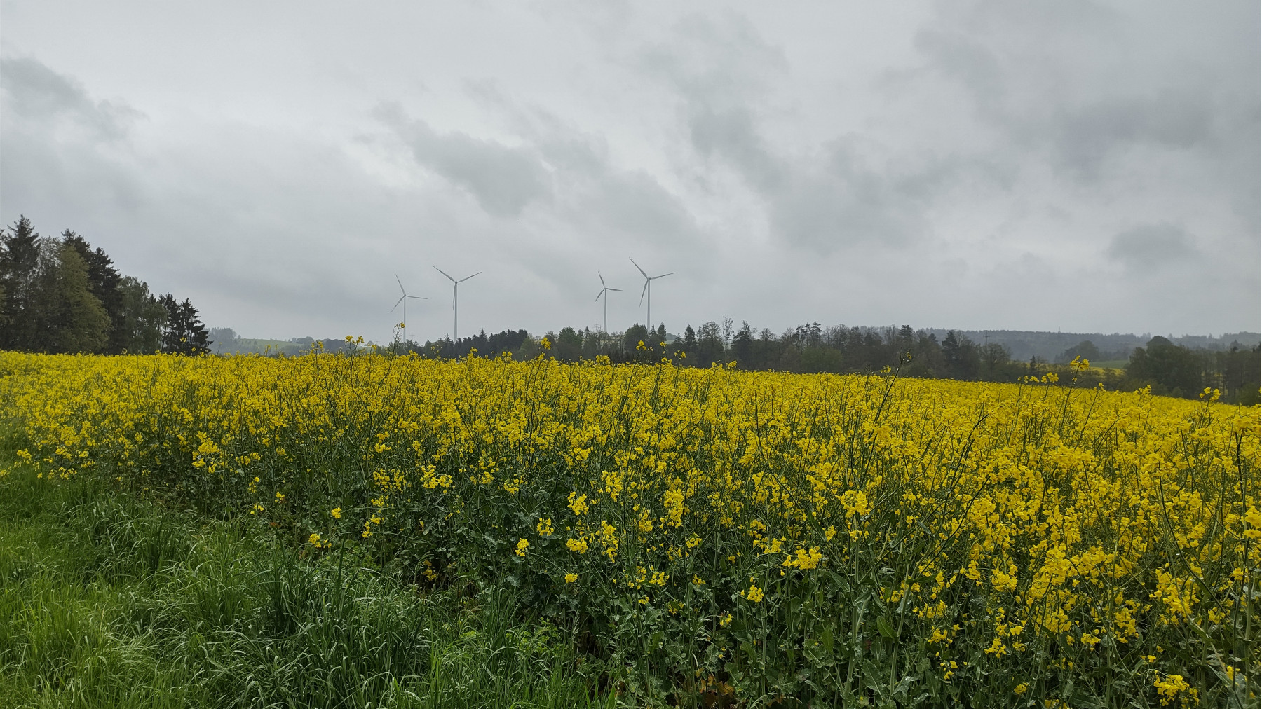 IMG_20240507_141544490_HDR IMG_20240507_141544490_HDR