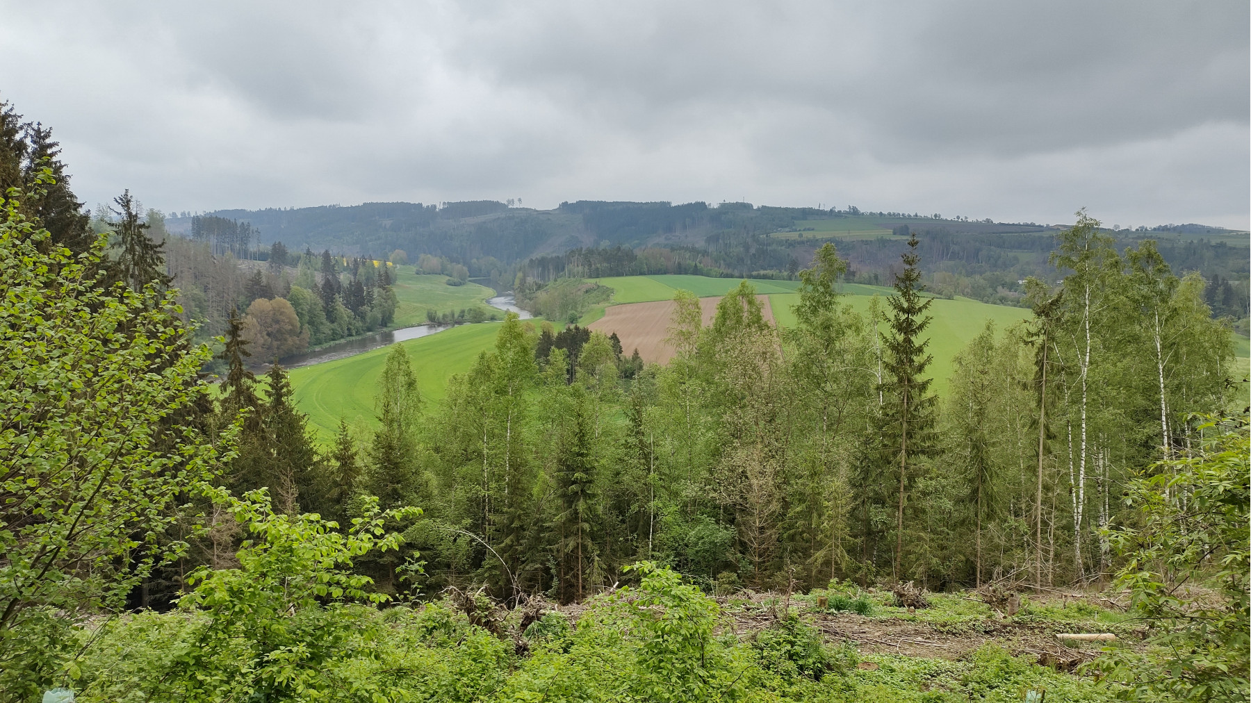 IMG_20240508_104105508_HDR