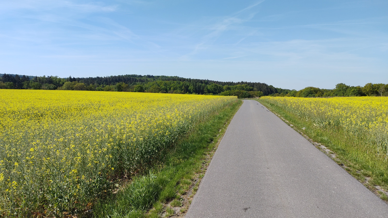 IMG_20250510_100609928