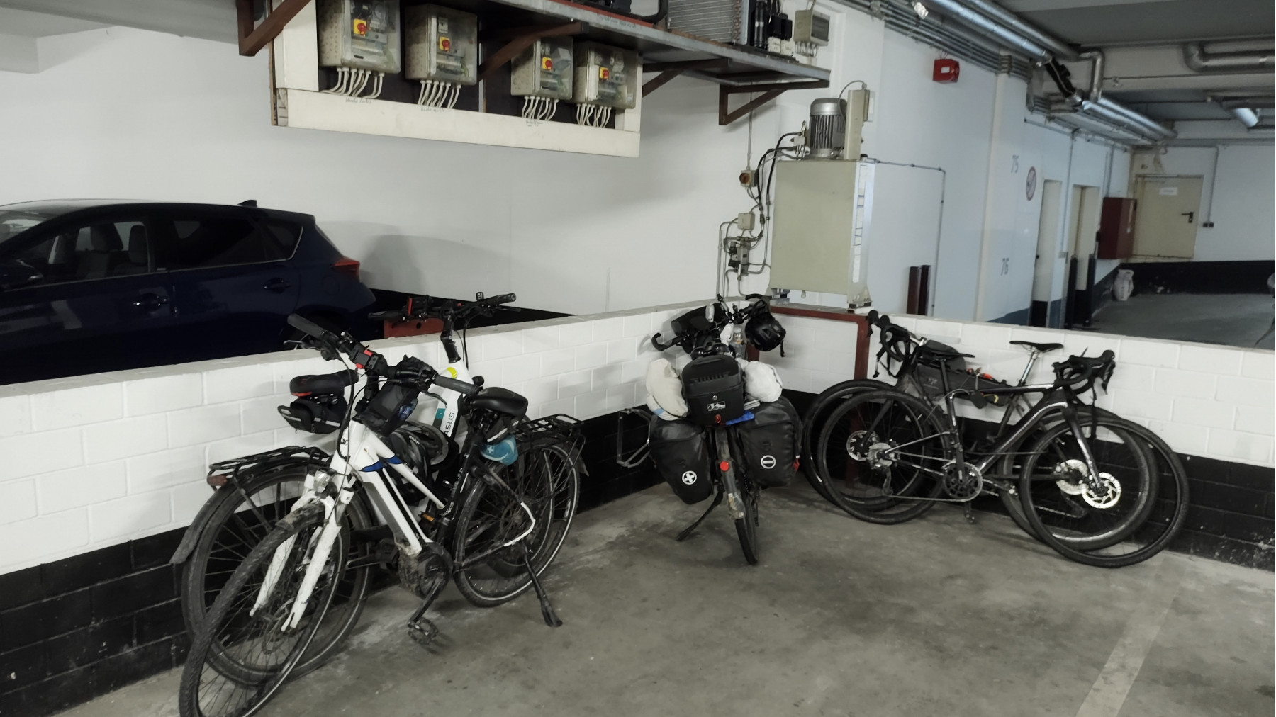 Lastenelefant vs Pferdchen IMG_20240520_075314943_HDR