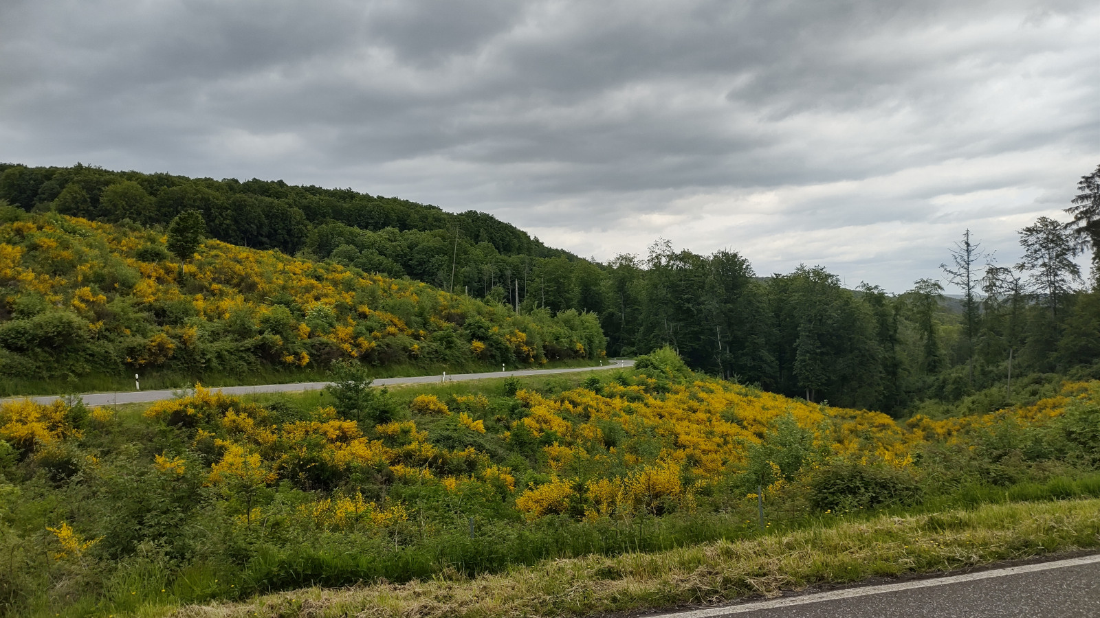 IMG_20250527_152649093_HDR IMG_20250527_152649093_HDR