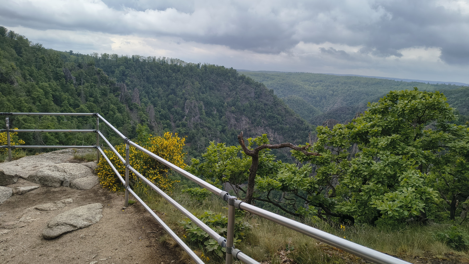 IMG_20250518_120118787_HDR