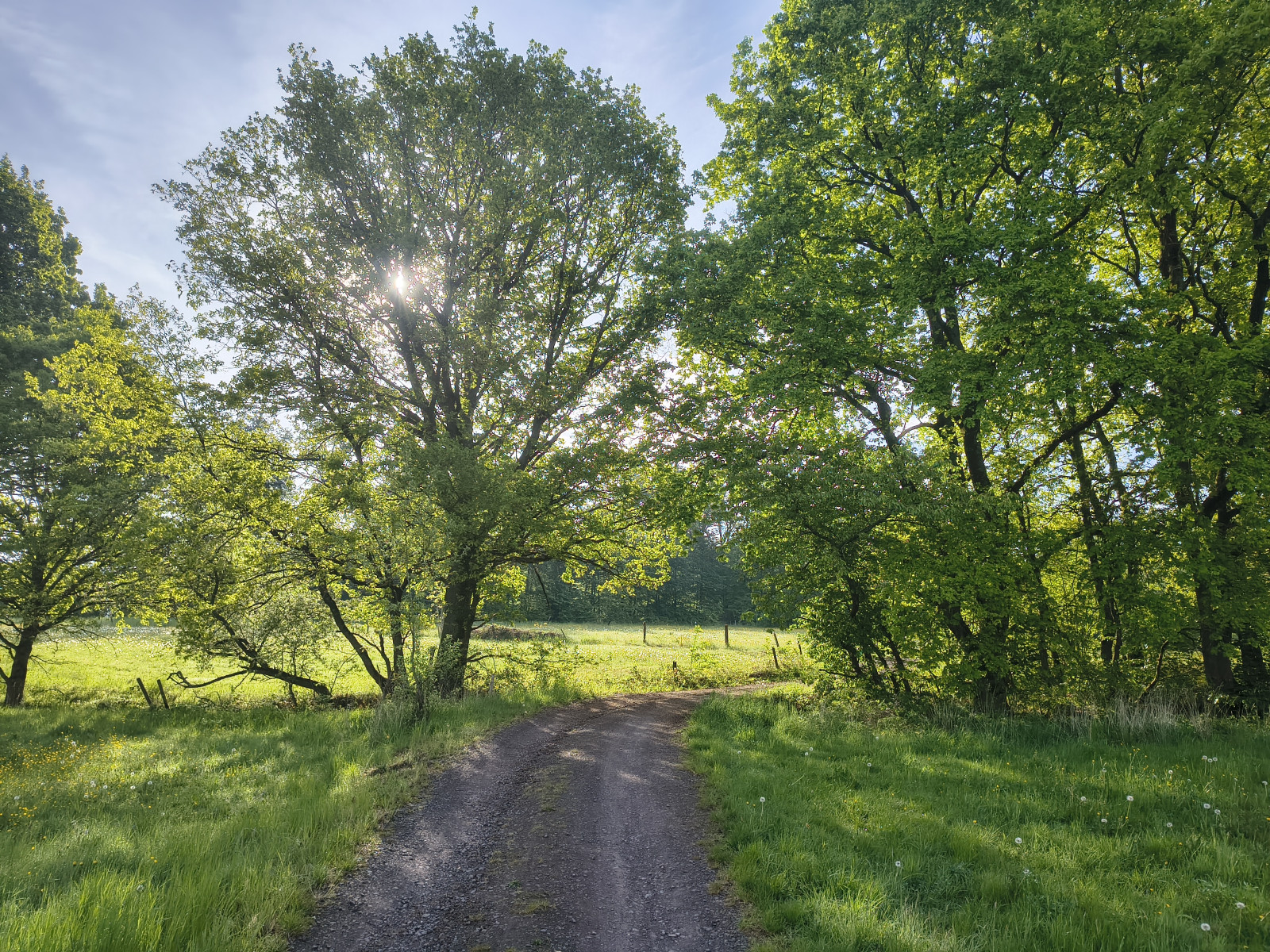 IMG_20260510_084529364_HDR IMG_20260510_084529364_HDR