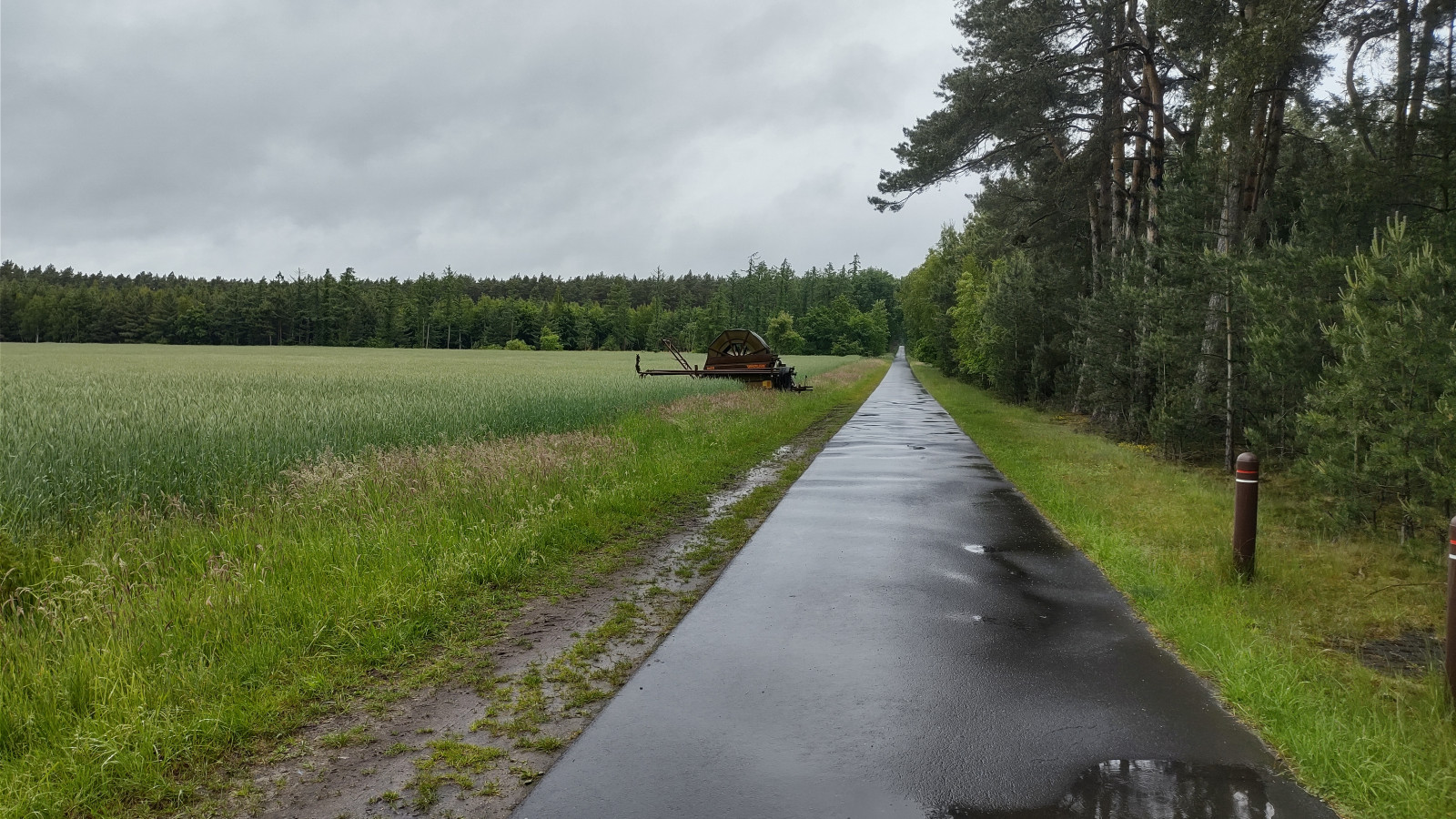 IMG_20250525_113459354_HDR