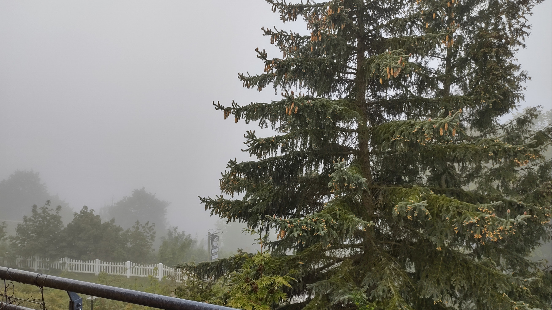 Nebel am Morgen an der Bleiloch-TS IMG_20240509_065311441_HDR