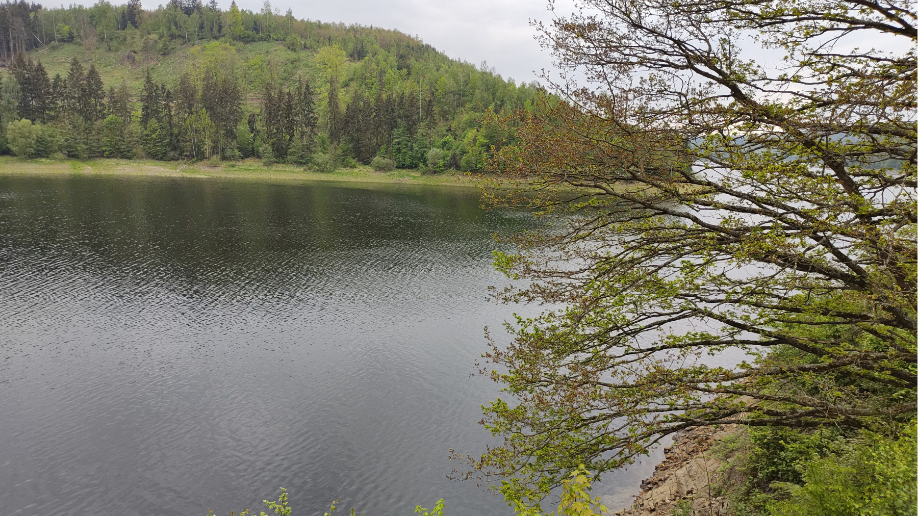 IMG_20240508_143726947