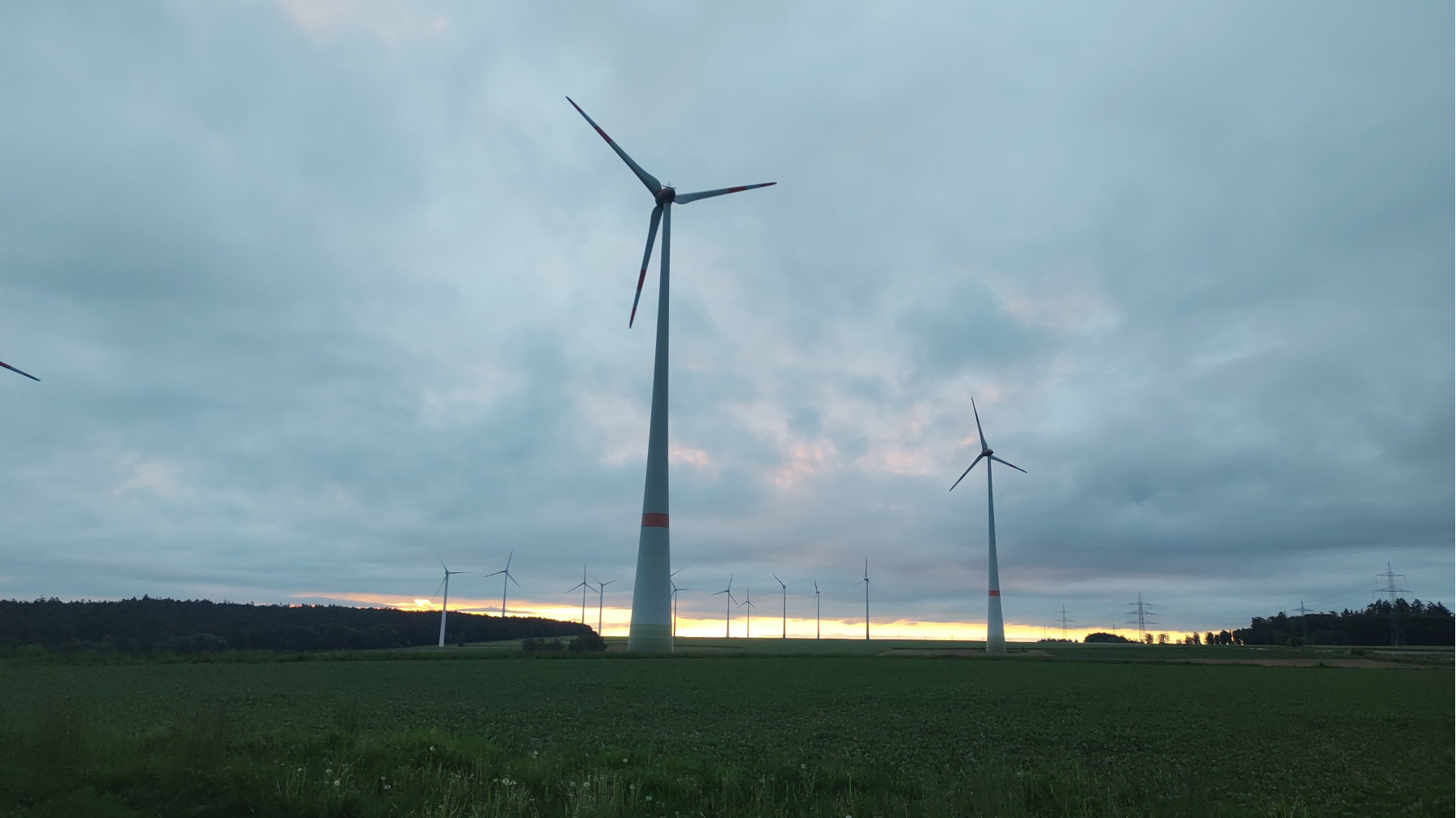 IMG_20240518_053504267 IMG_20240518_053504267