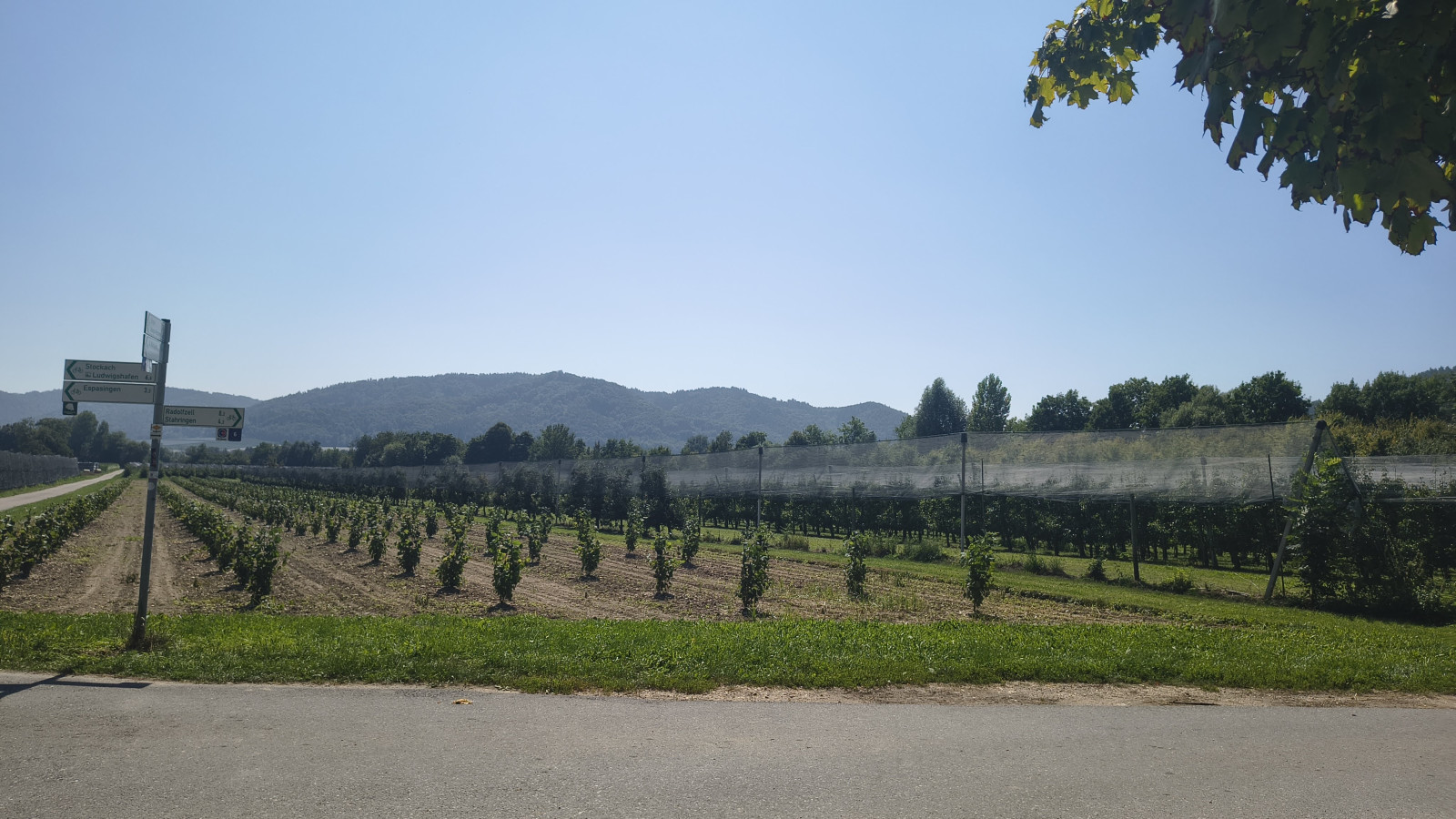 IMG_20250811_121244115_HDR