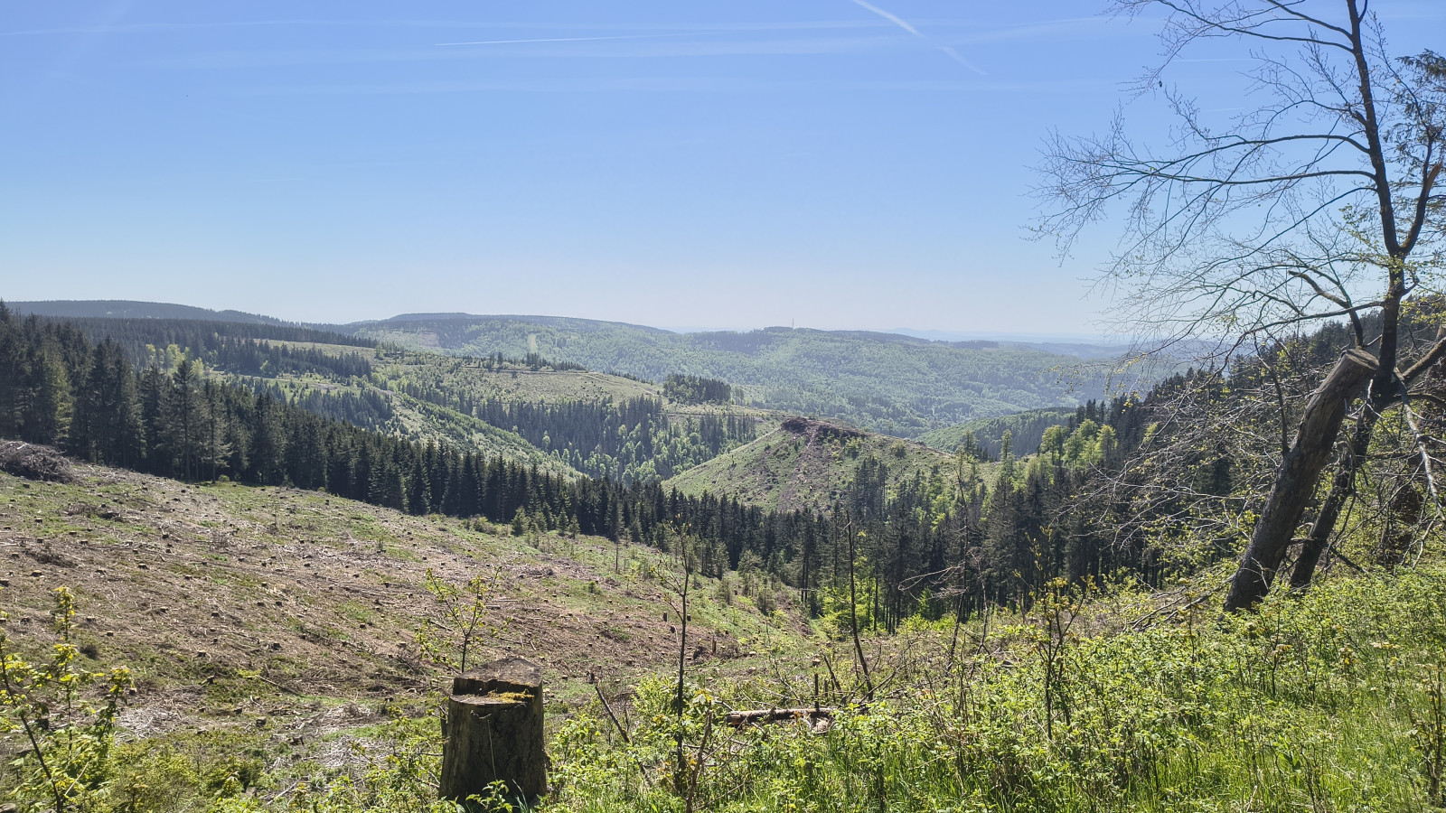 IMG_20250512_133421790_HDR