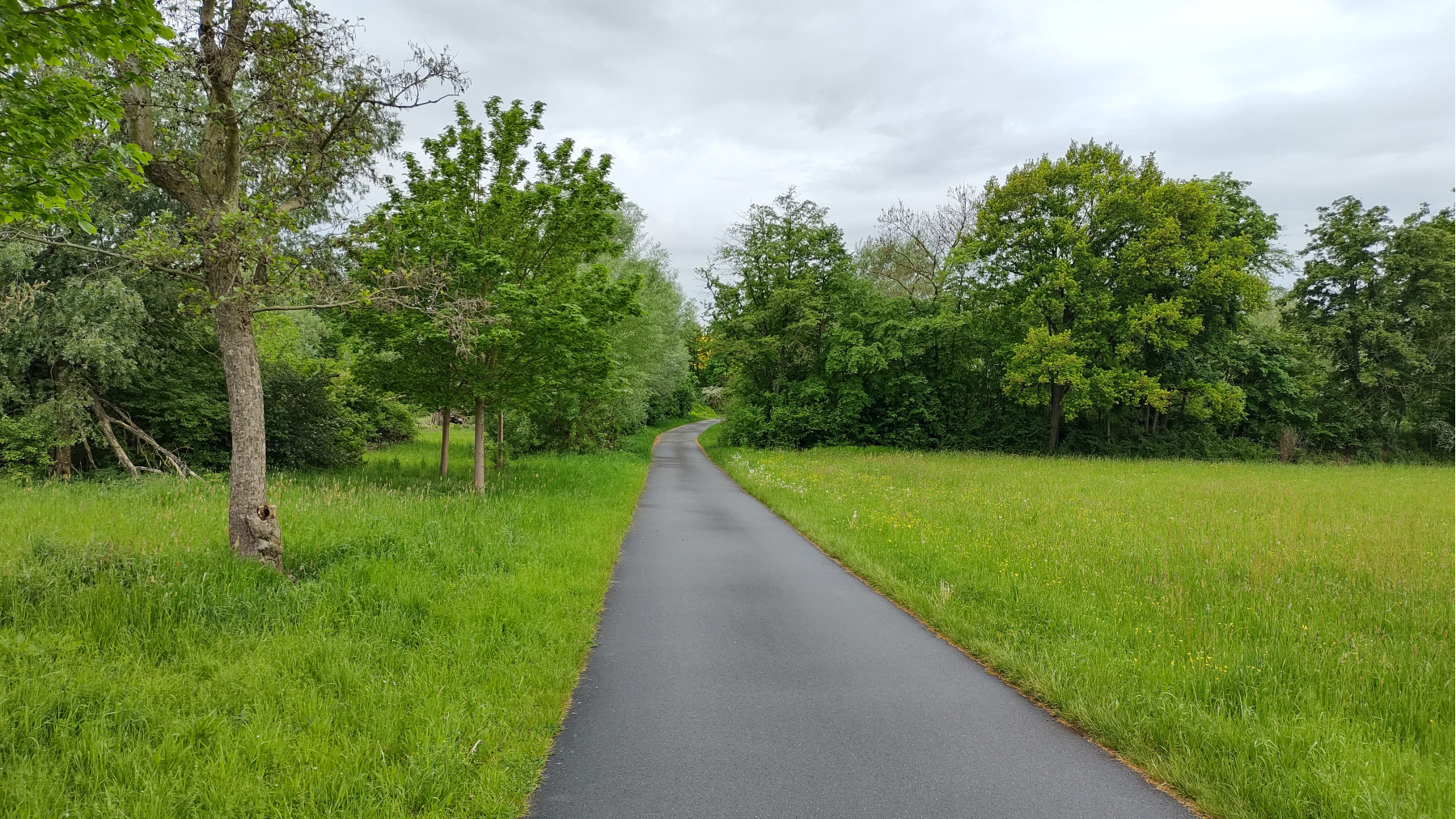 IMG_20240505_091303666_HDR IMG_20240505_091303666_HDR