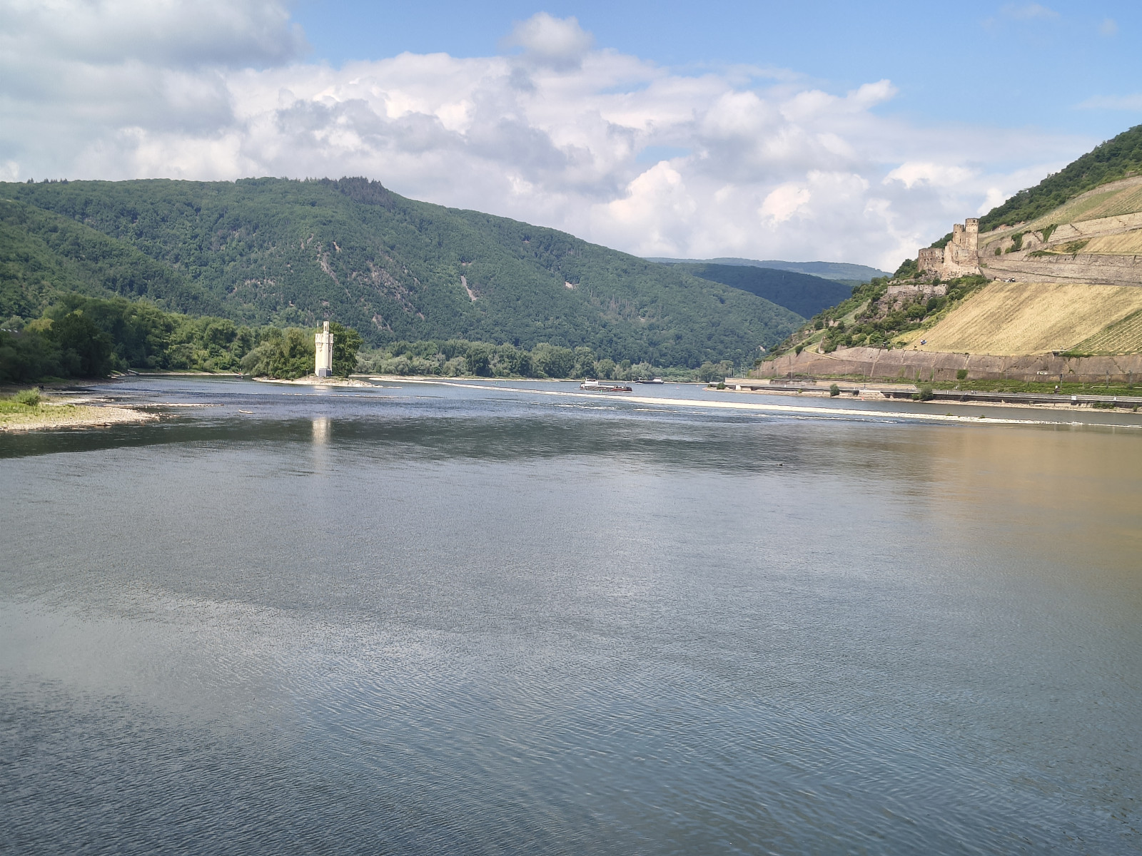 IMG_20260508_114846781_HDR