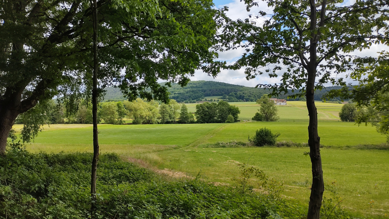 IMG_20250528_122733900_HDR