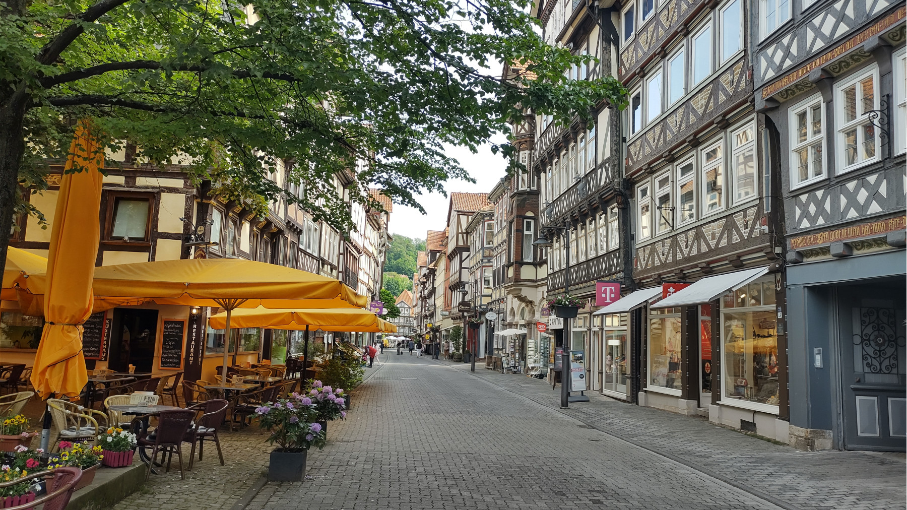 IMG_20240517_094906344_HDR