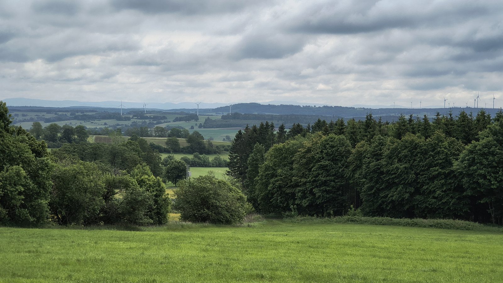 IMG_20250529_104516274_HDR IMG_20250529_104516274_HDR