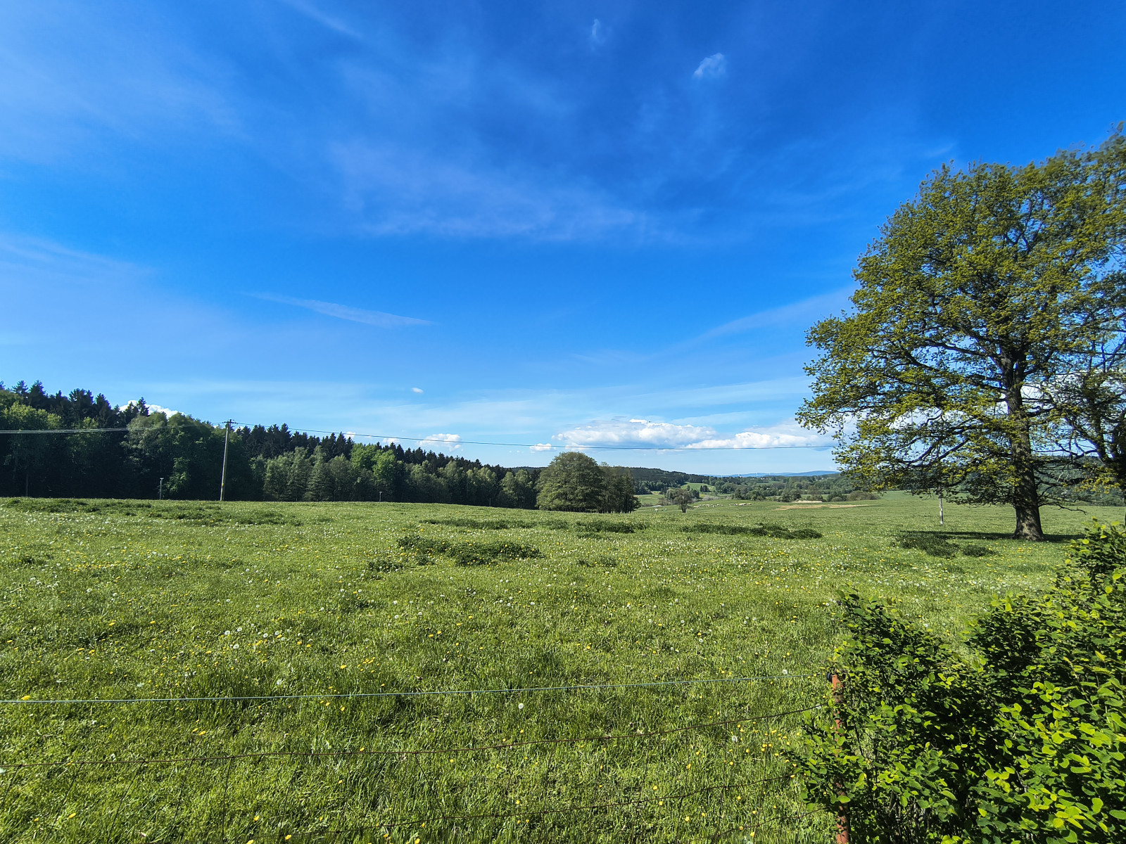 IMG_20260518_102405844_HDR