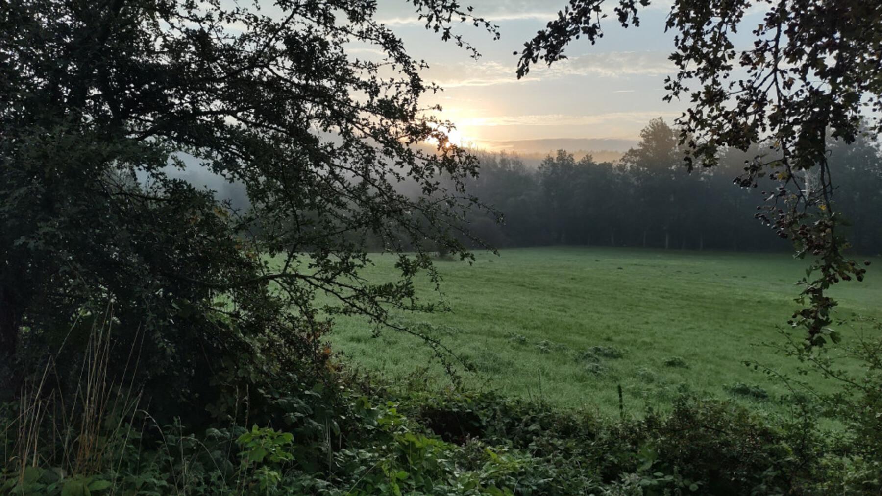 23.16IMG-20230815-064938812-HDR-1800