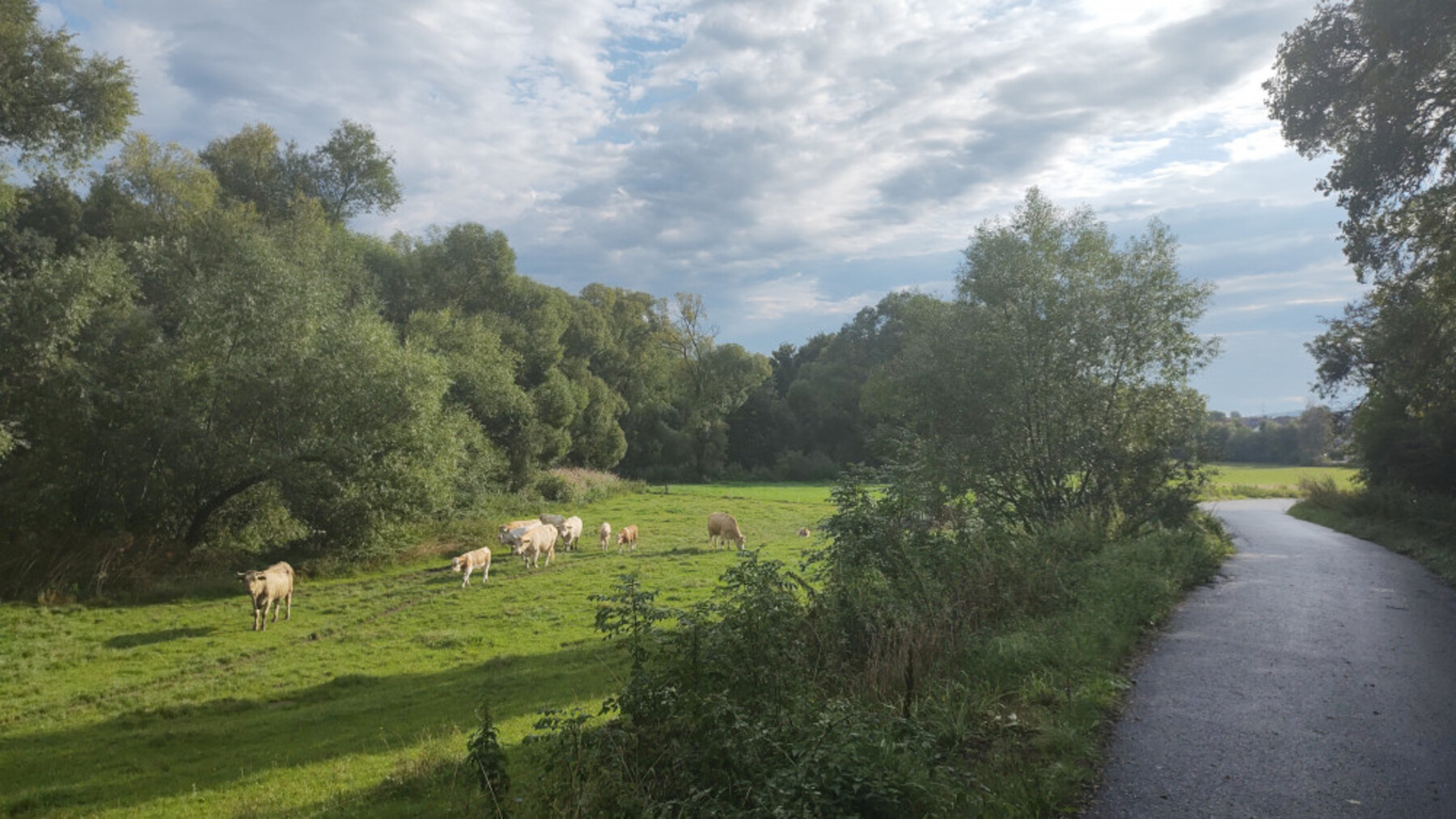 23.171692939636_IMG-20230815-084819269-1800 23.171692939636_IMG-20230815-084819269-1800