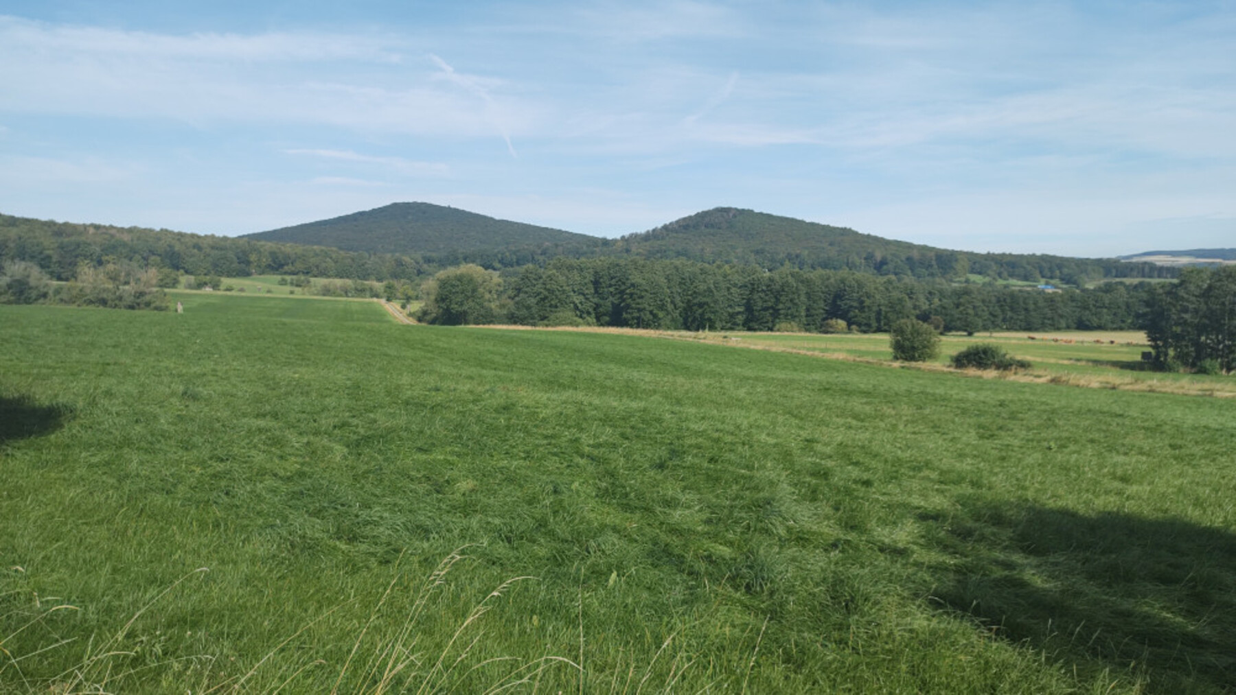 23.18IMG-20230815-095846022-1800