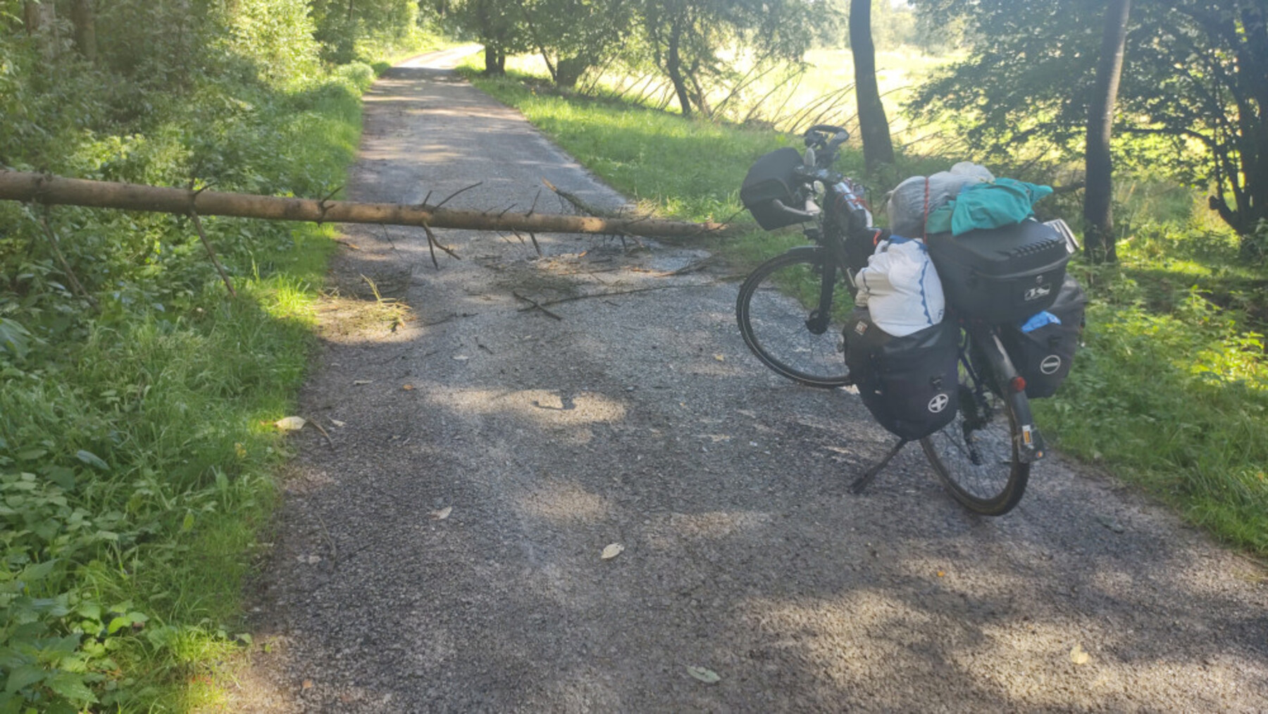 23.20IMG-20230815-105544026-1800