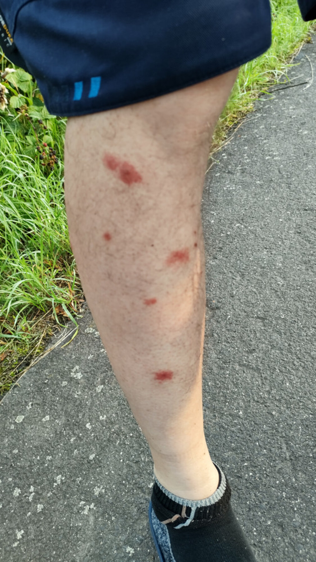 23.3IMG-20230815-065701282-HDR-1800 23.3IMG-20230815-065701282-HDR-1800