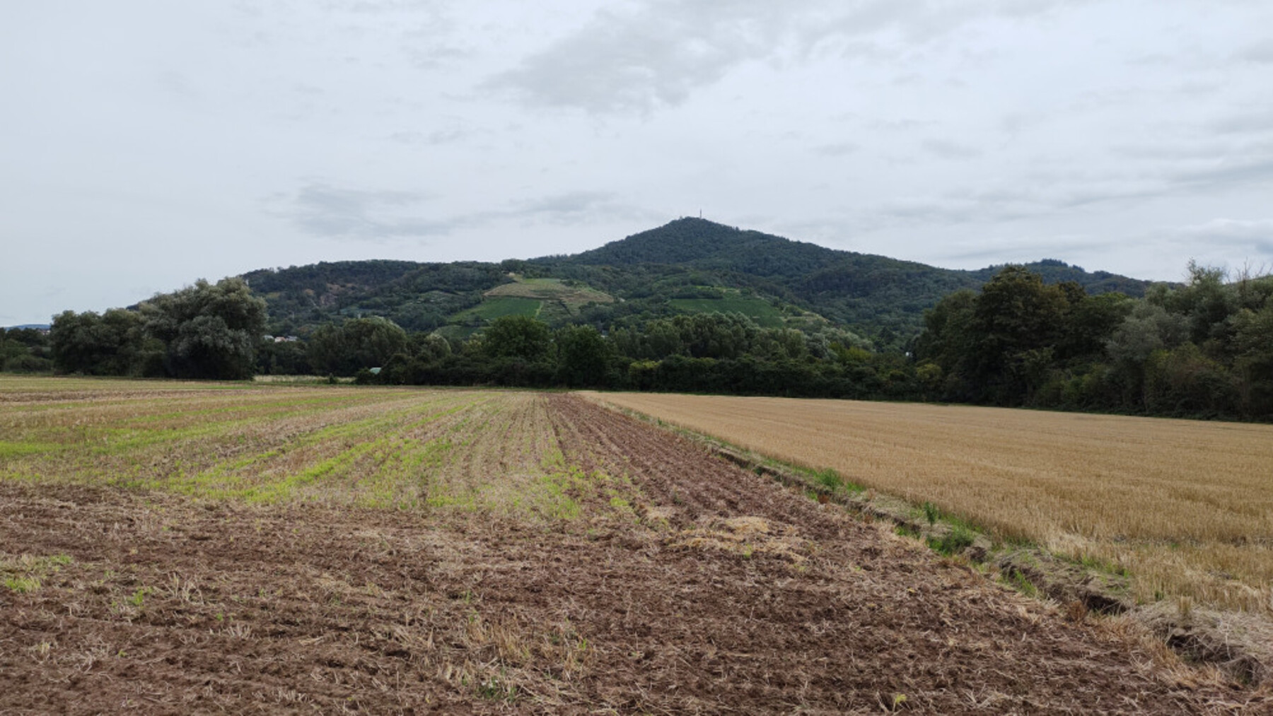 23.5IMG-20230813-122827089-1800