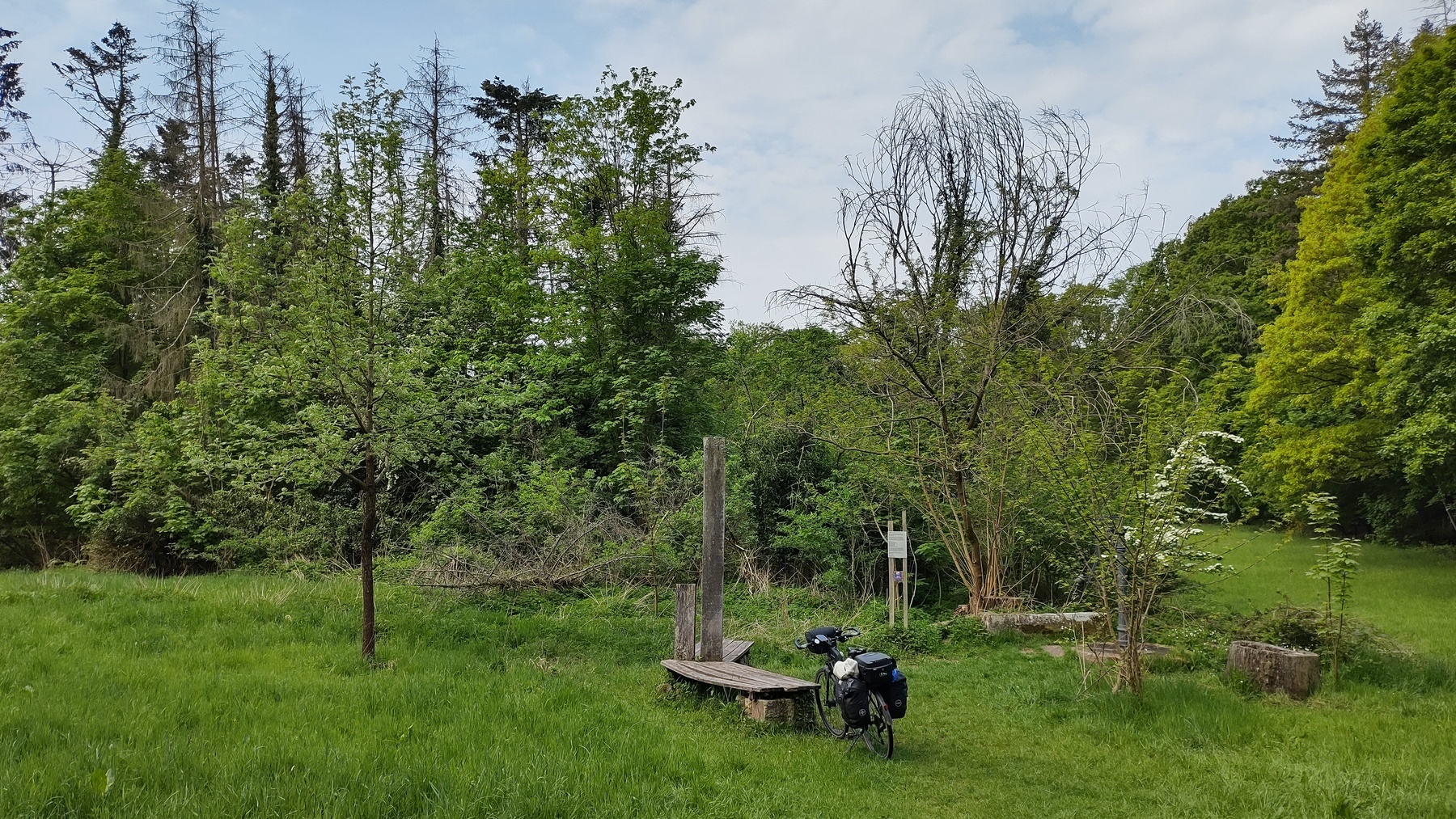 22-03-IMG-20220504-102456479-HDR-1800