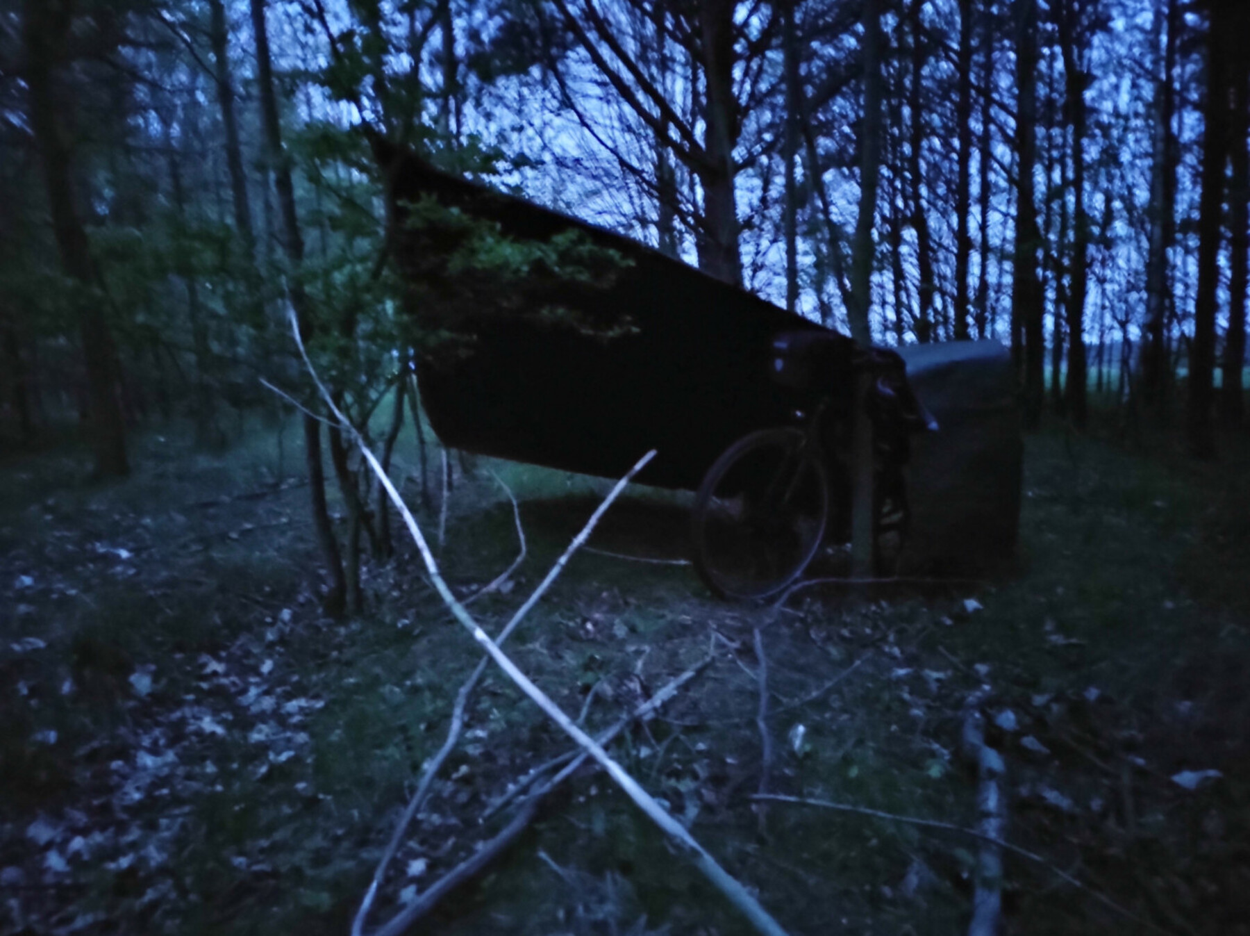 22-06-IMG-20220508-050534022-1800