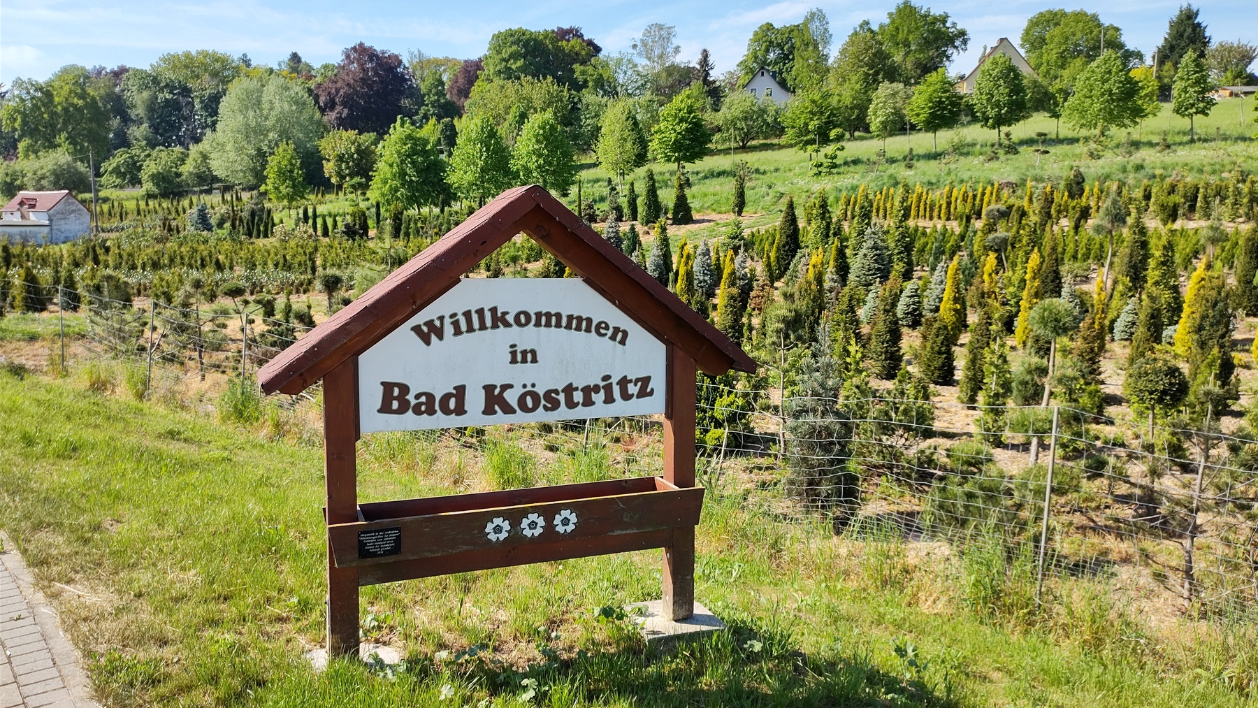 22-09aIMG-20220516-093602466-HDR-1800