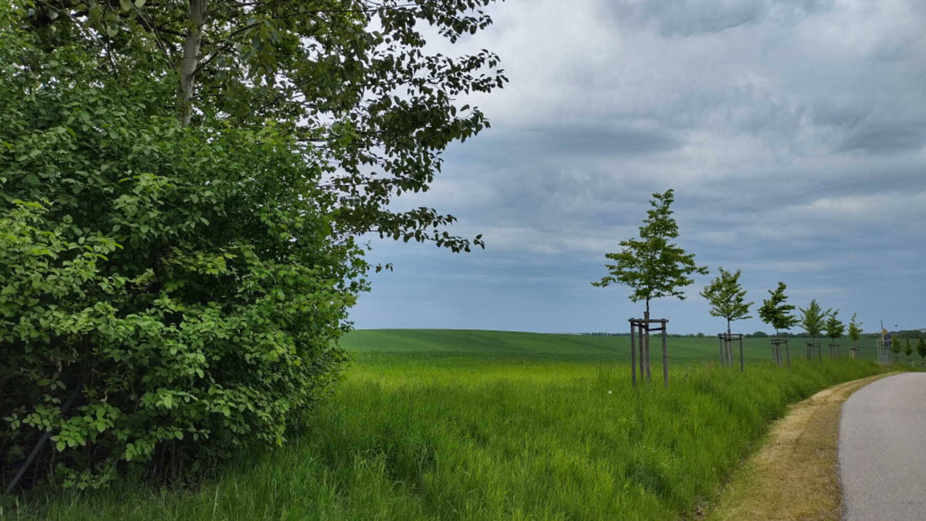 22-09b-IMG-20220516-131859579-HDR-1800