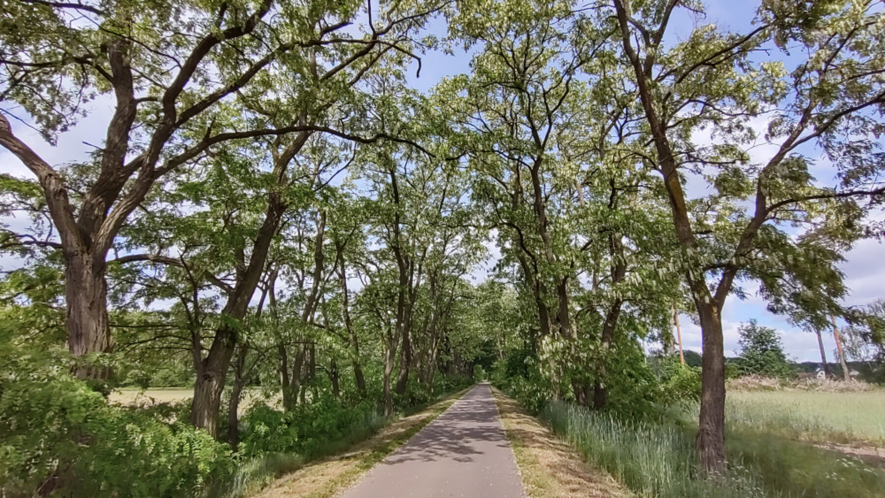 22-15b-IMG-20220522-101850894-HDR-1800