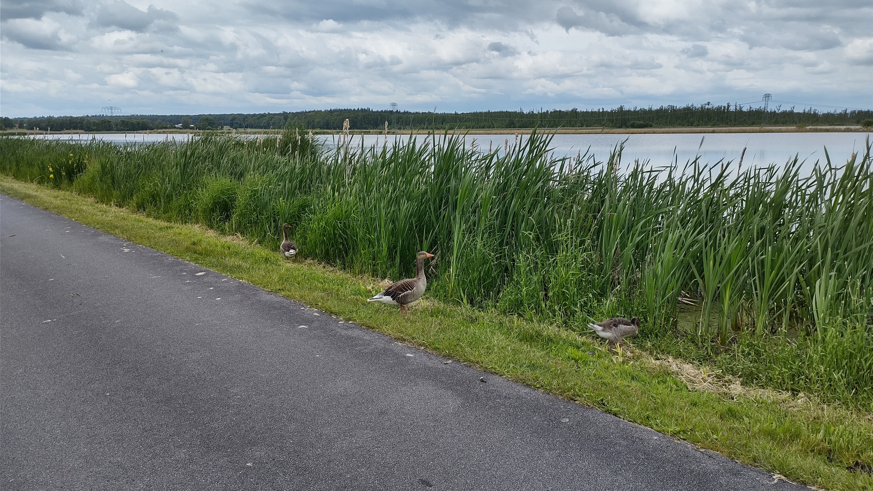 22-21-IMG-202205-Goot1800